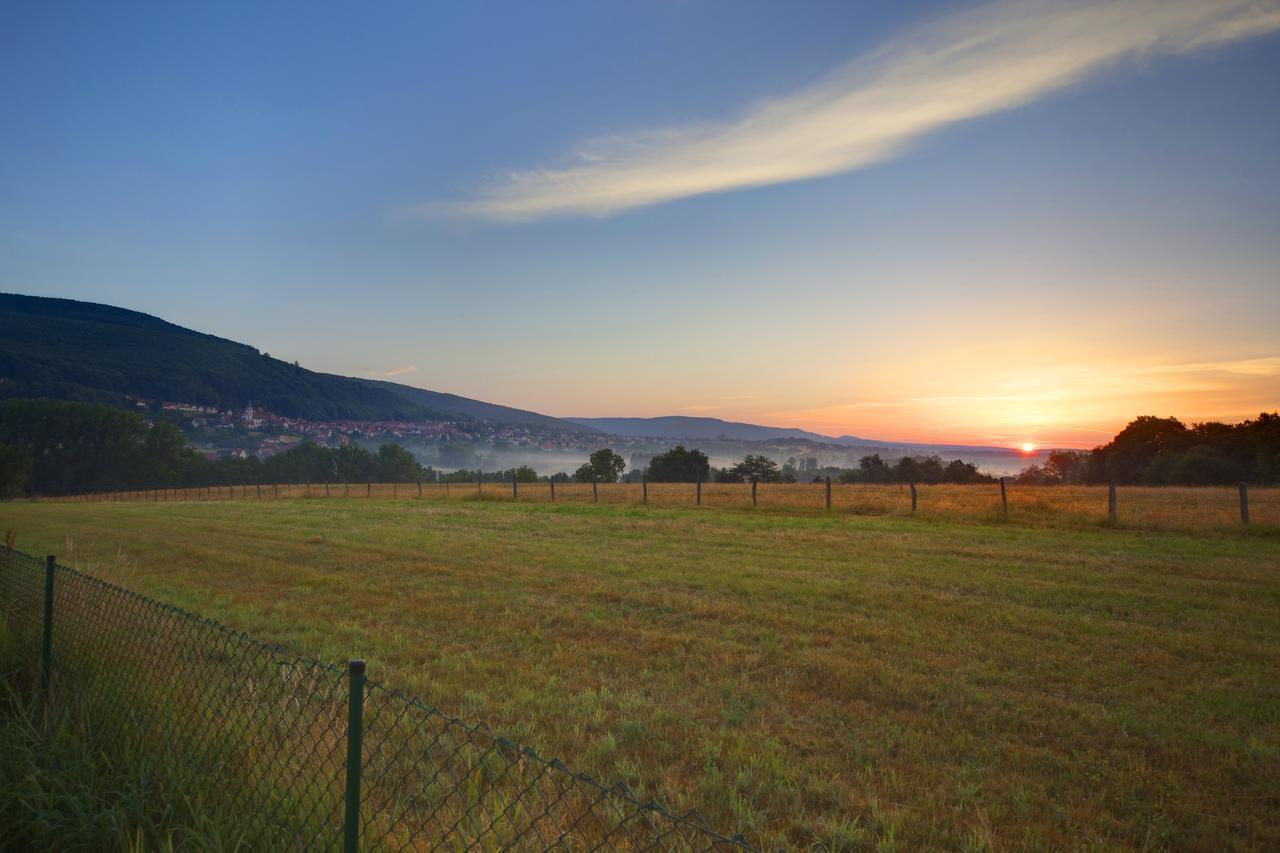 Hotellerie Du Couvent Oberbronn Εξωτερικό φωτογραφία